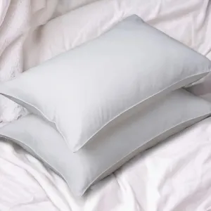 2 Pack Ultra Stain Resistant Pillows High Density