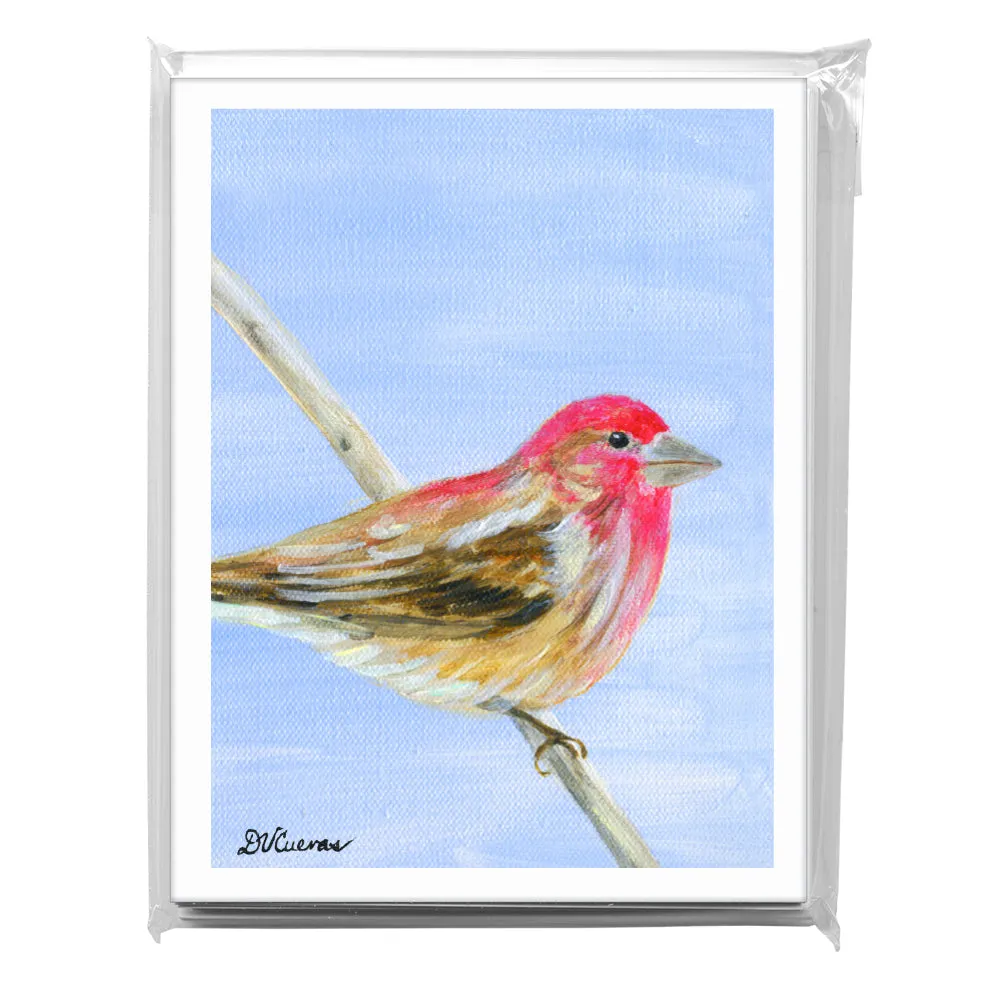 Cassin's Finch, Greeting Card (8323B)