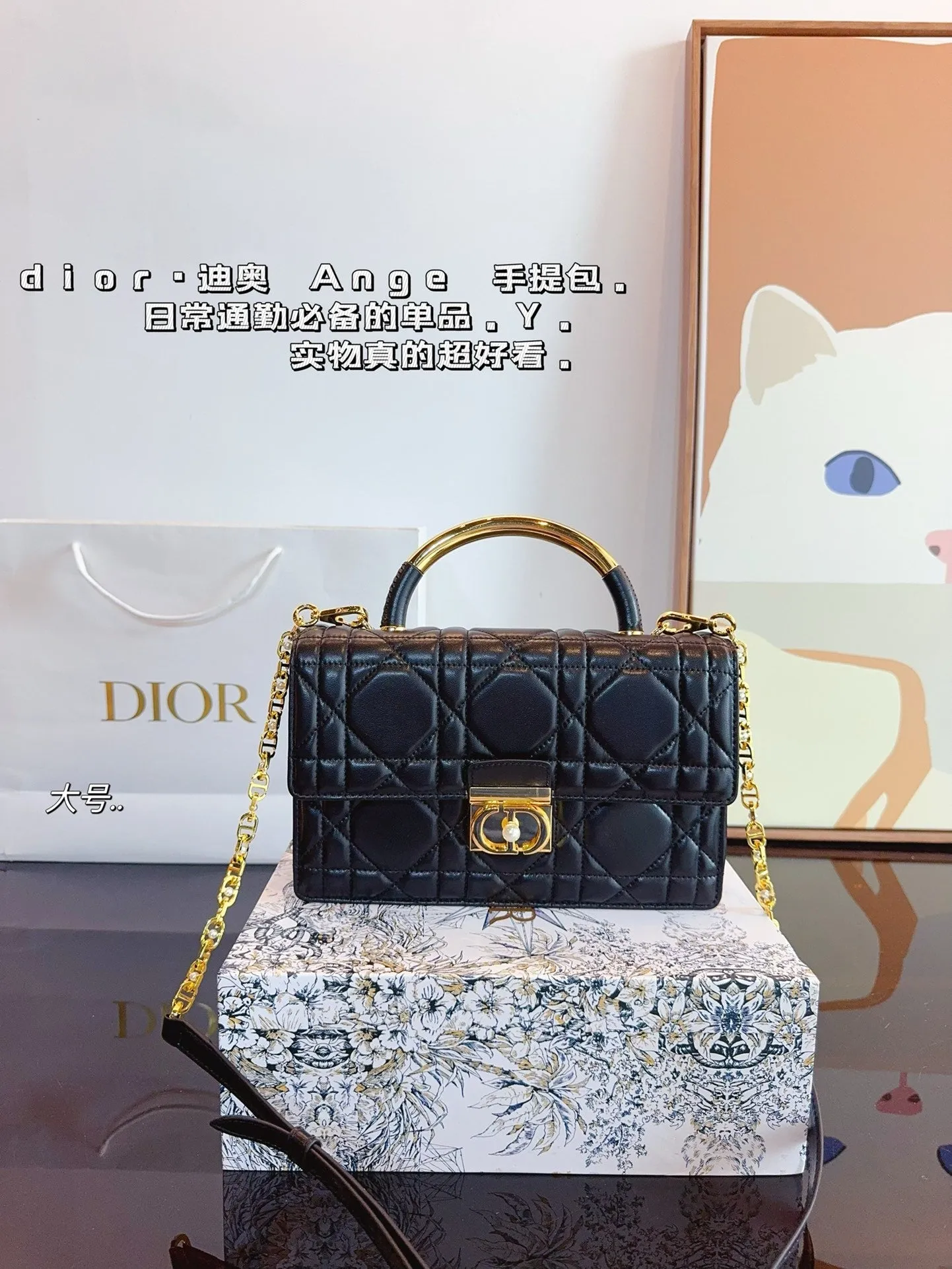 DR433 Mini/Medium Dior Ange Bag