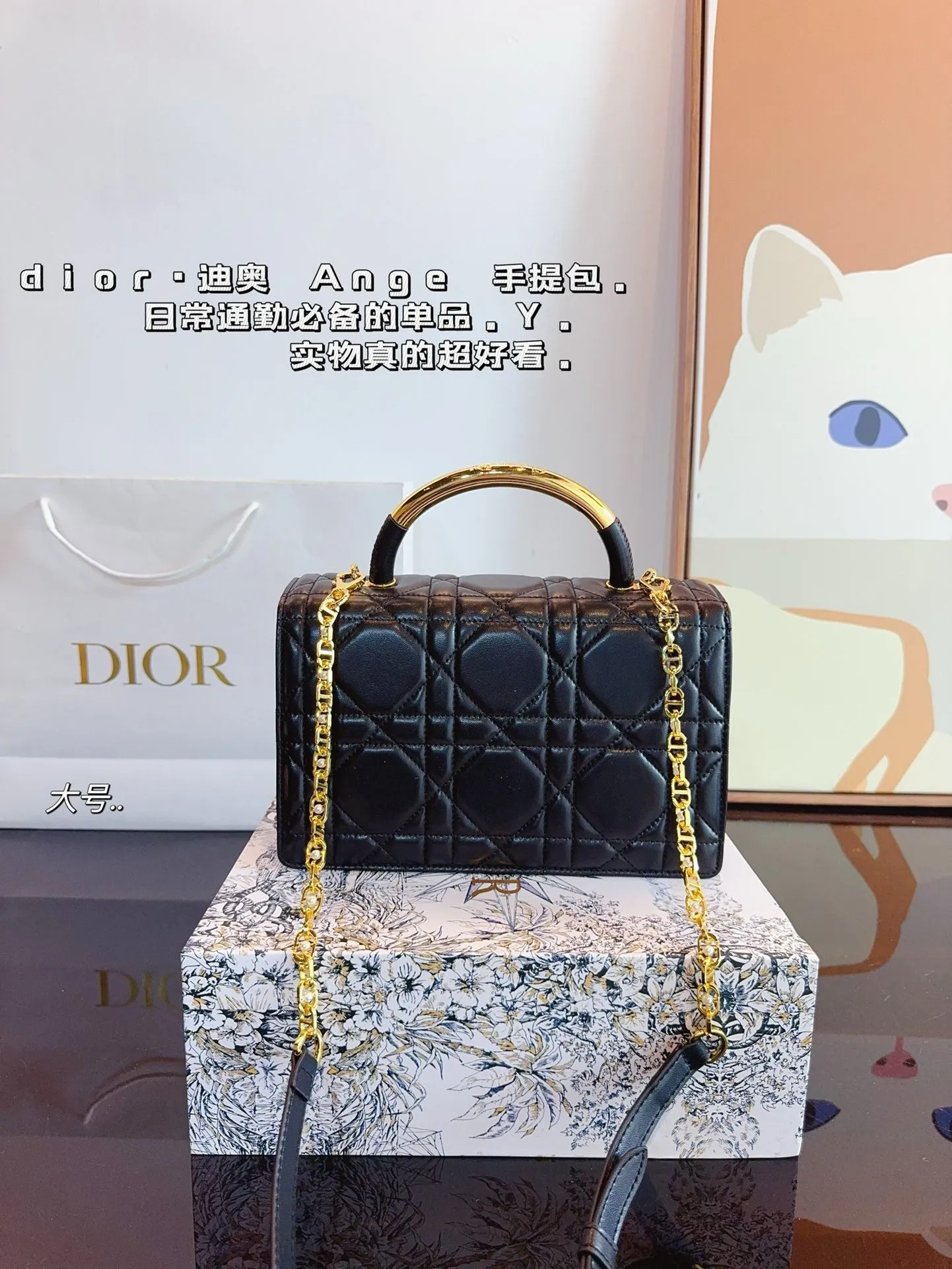 DR433 Mini/Medium Dior Ange Bag