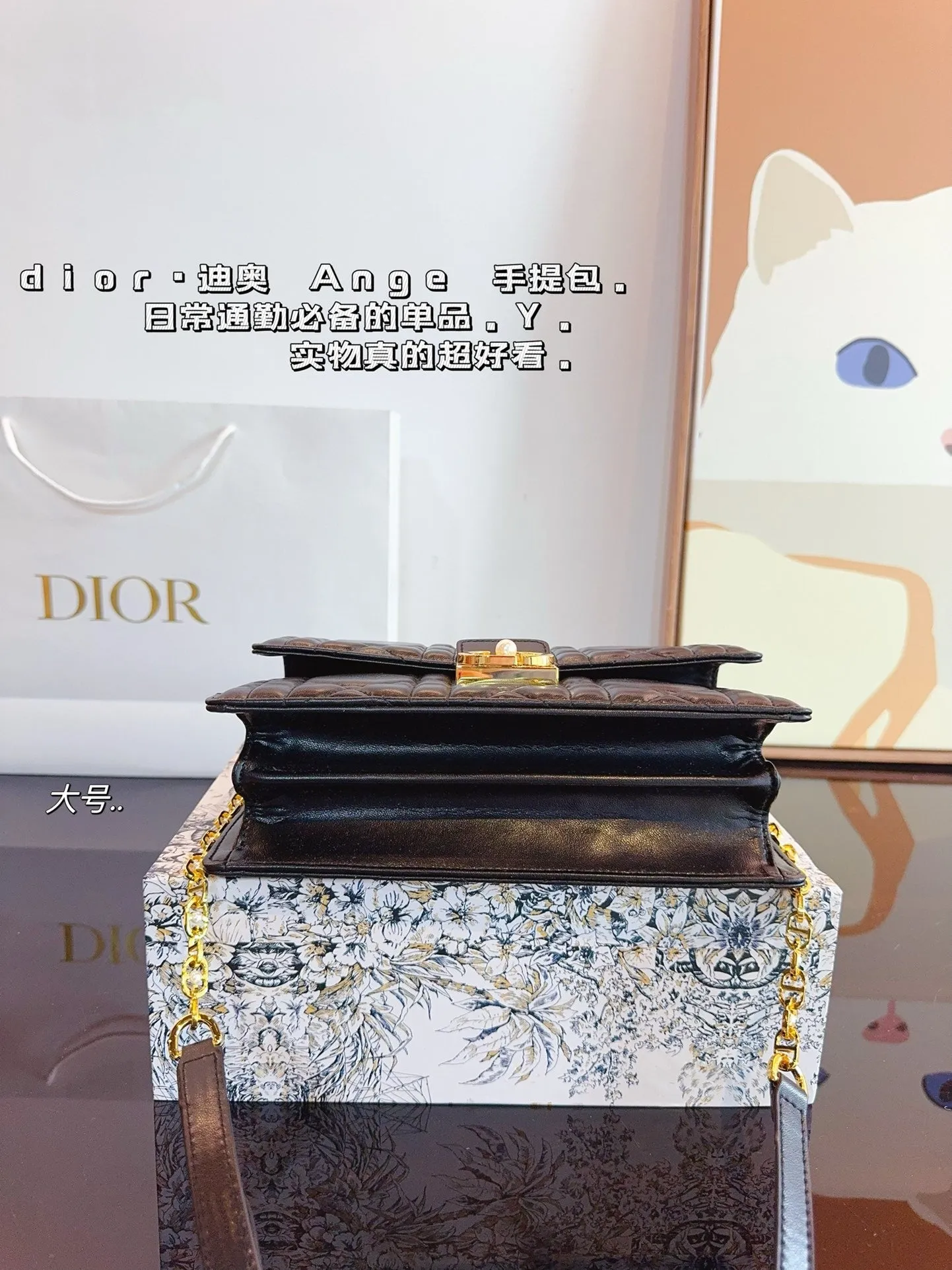 DR433 Mini/Medium Dior Ange Bag