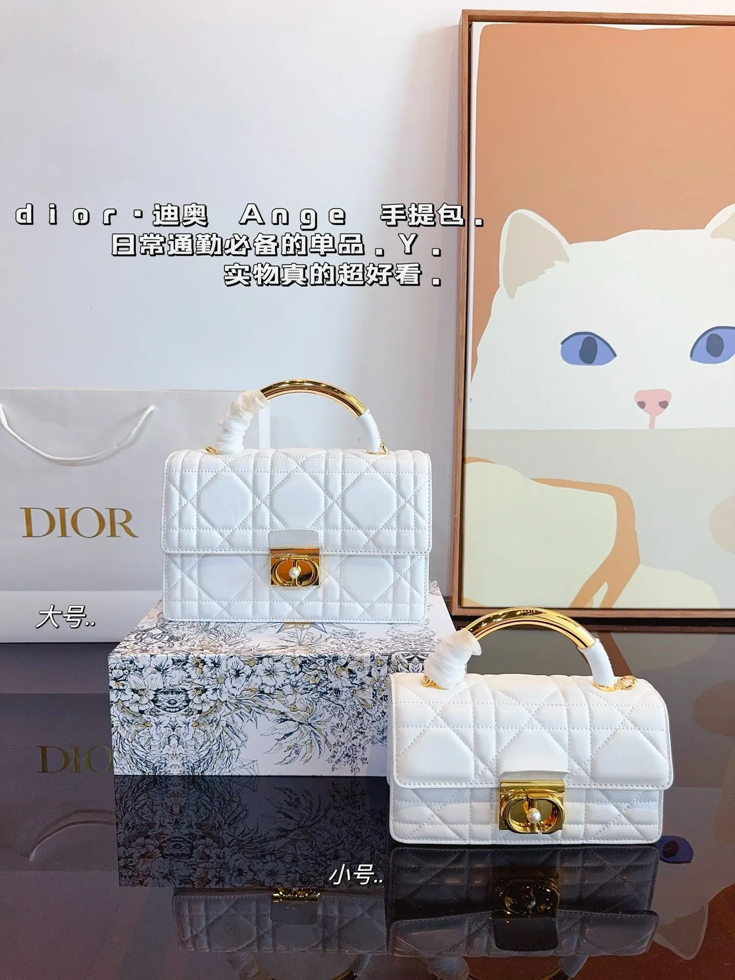 DR433 Mini/Medium Dior Ange Bag