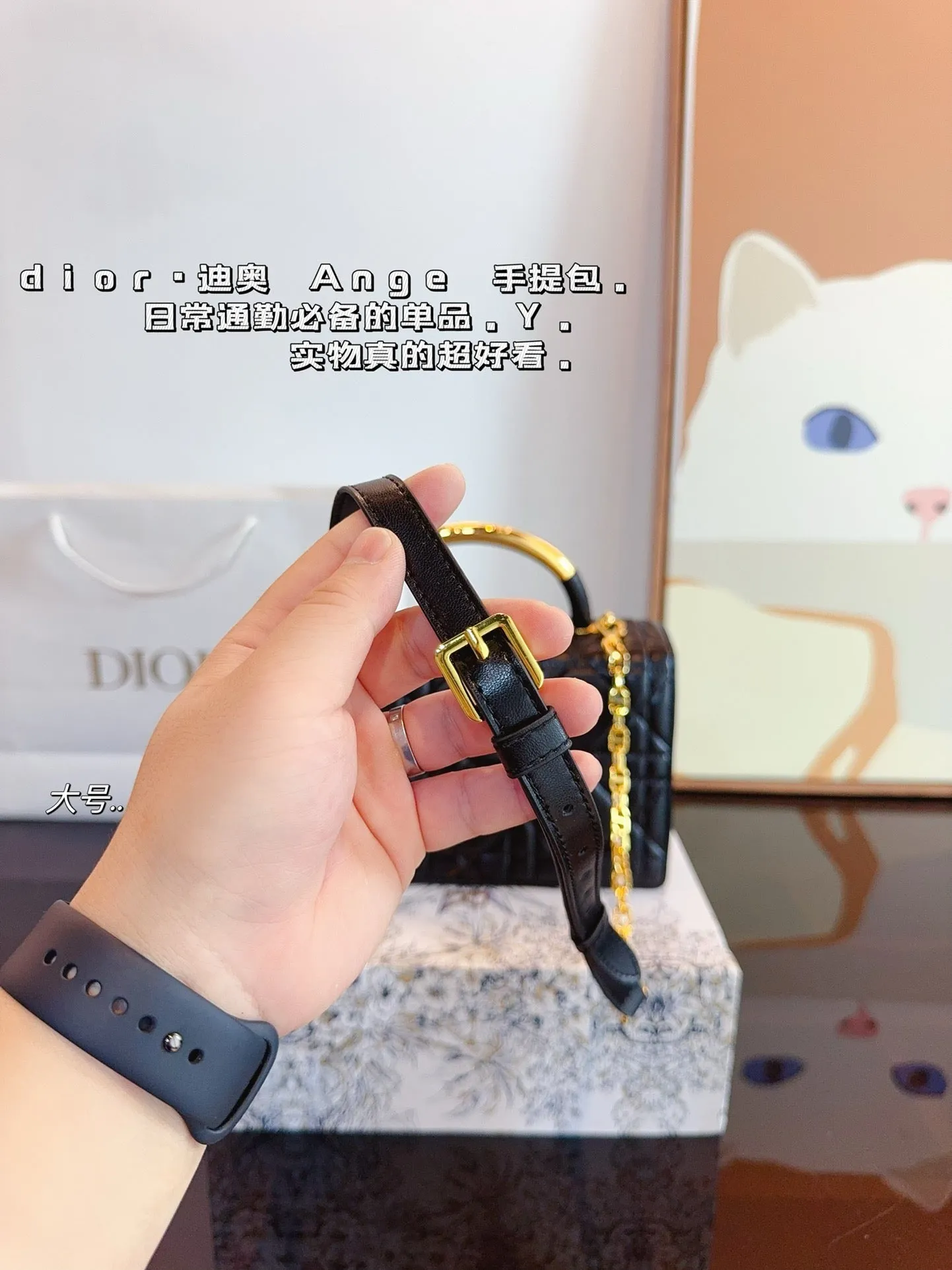 DR433 Mini/Medium Dior Ange Bag