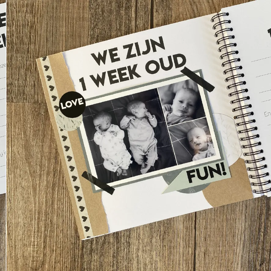 Fill-in book for twin babies our first year | sand