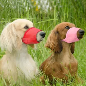 Furry Friend Pet Nylon Dog Muzzle