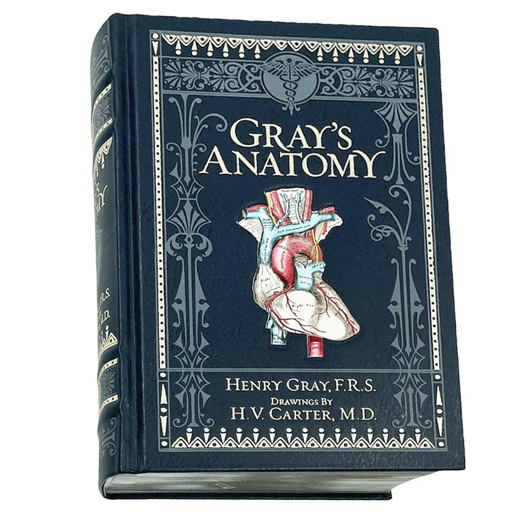 Grays Anatomy