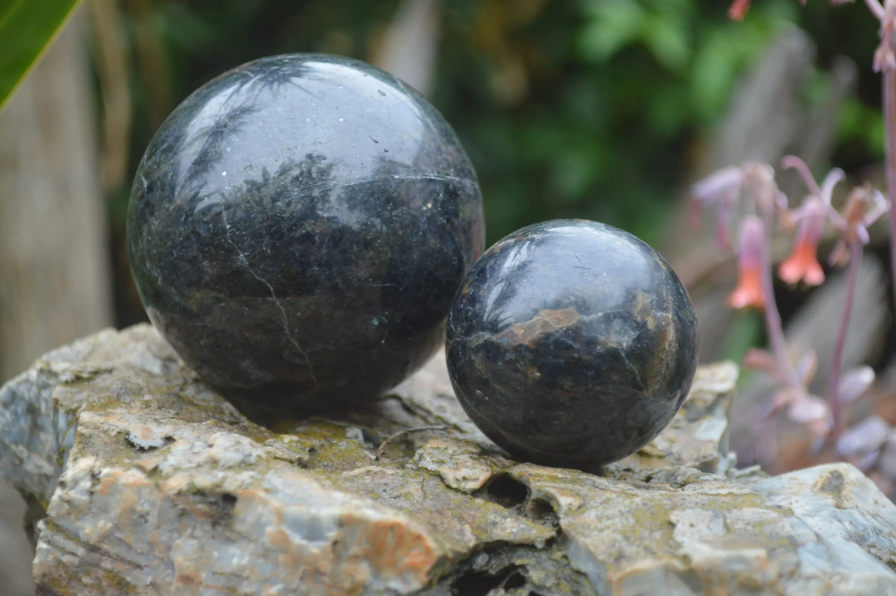 Polished Iolite Water Sapphire Sphere-Balls x 4 From Madagascar