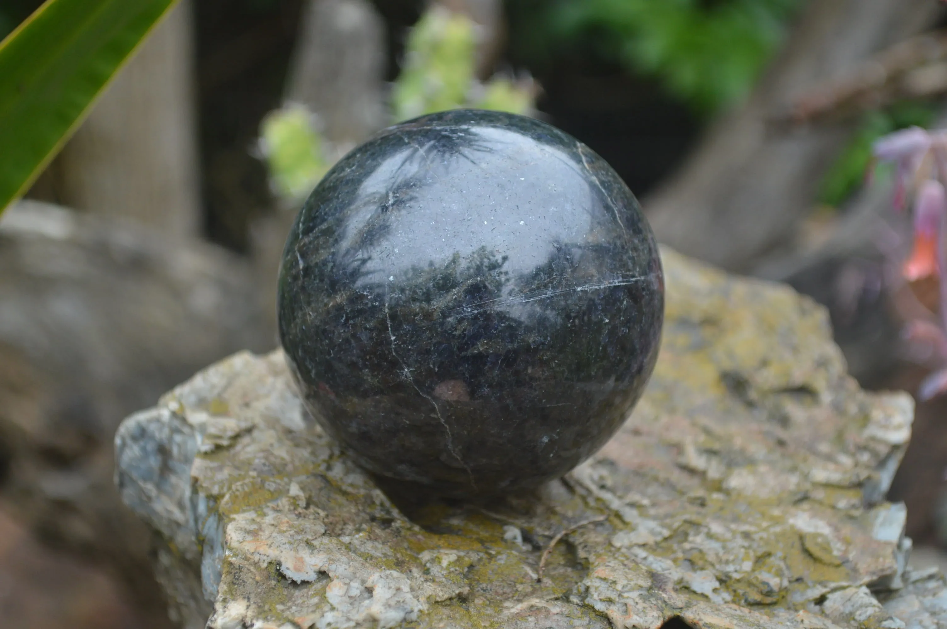 Polished Iolite Water Sapphire Sphere-Balls x 4 From Madagascar