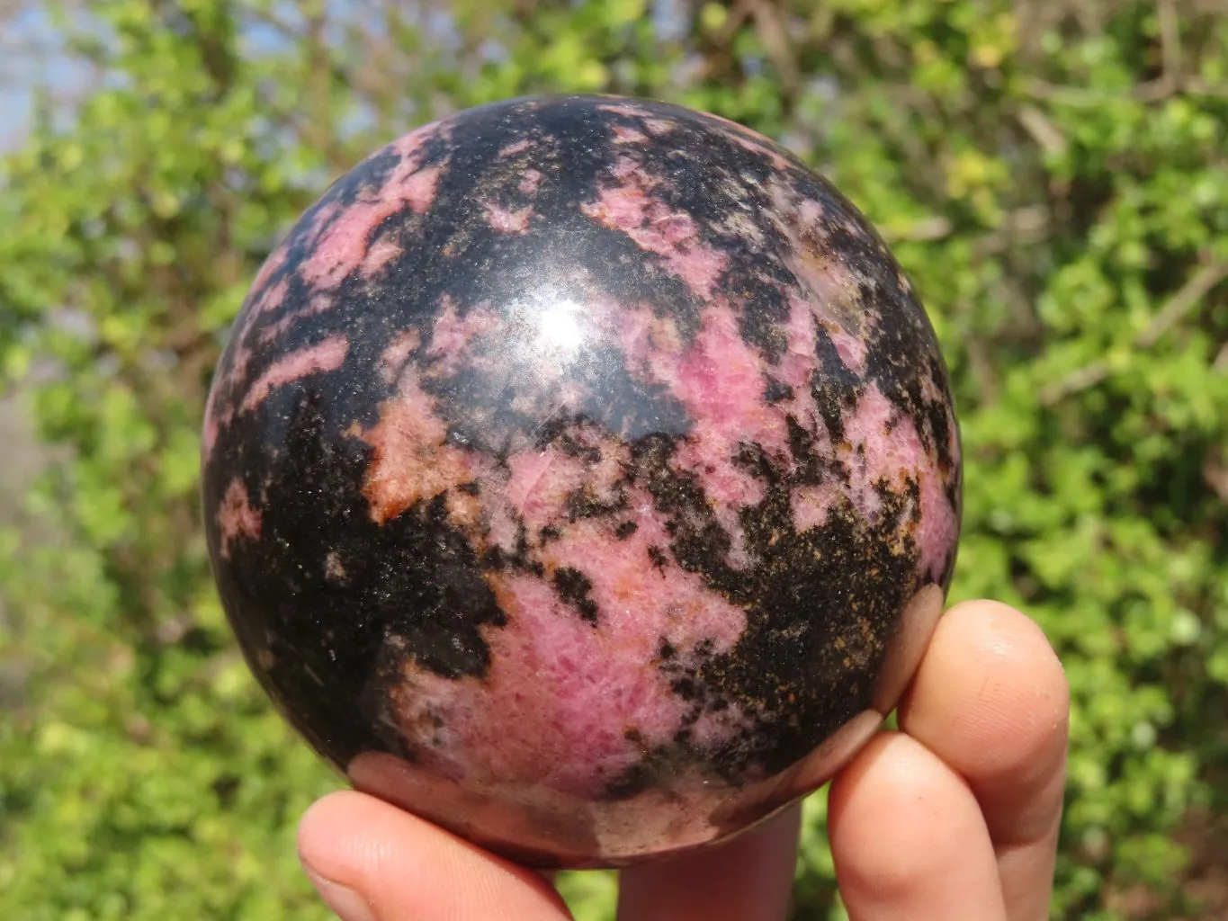 Polished Rhodonite Spheres x 2 From Ambindavato, Madagascar