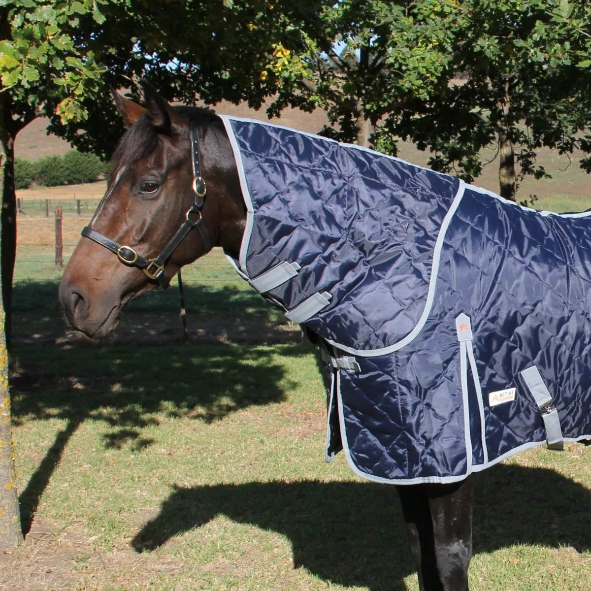 Quilted Stable Rug with Detachable Neck | Active Equine