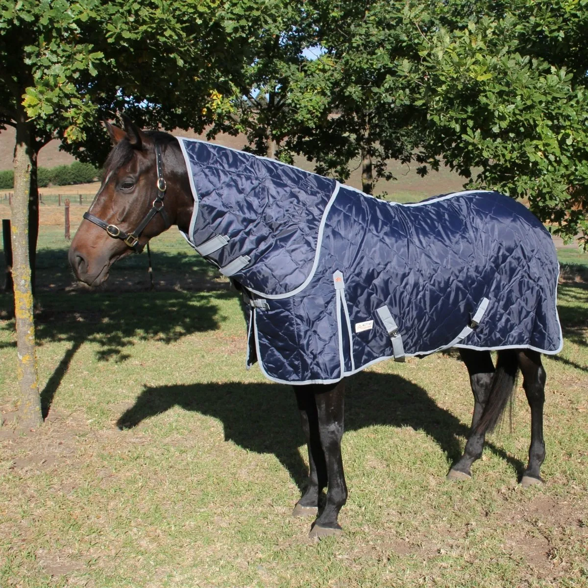 Quilted Stable Rug with Detachable Neck | Active Equine