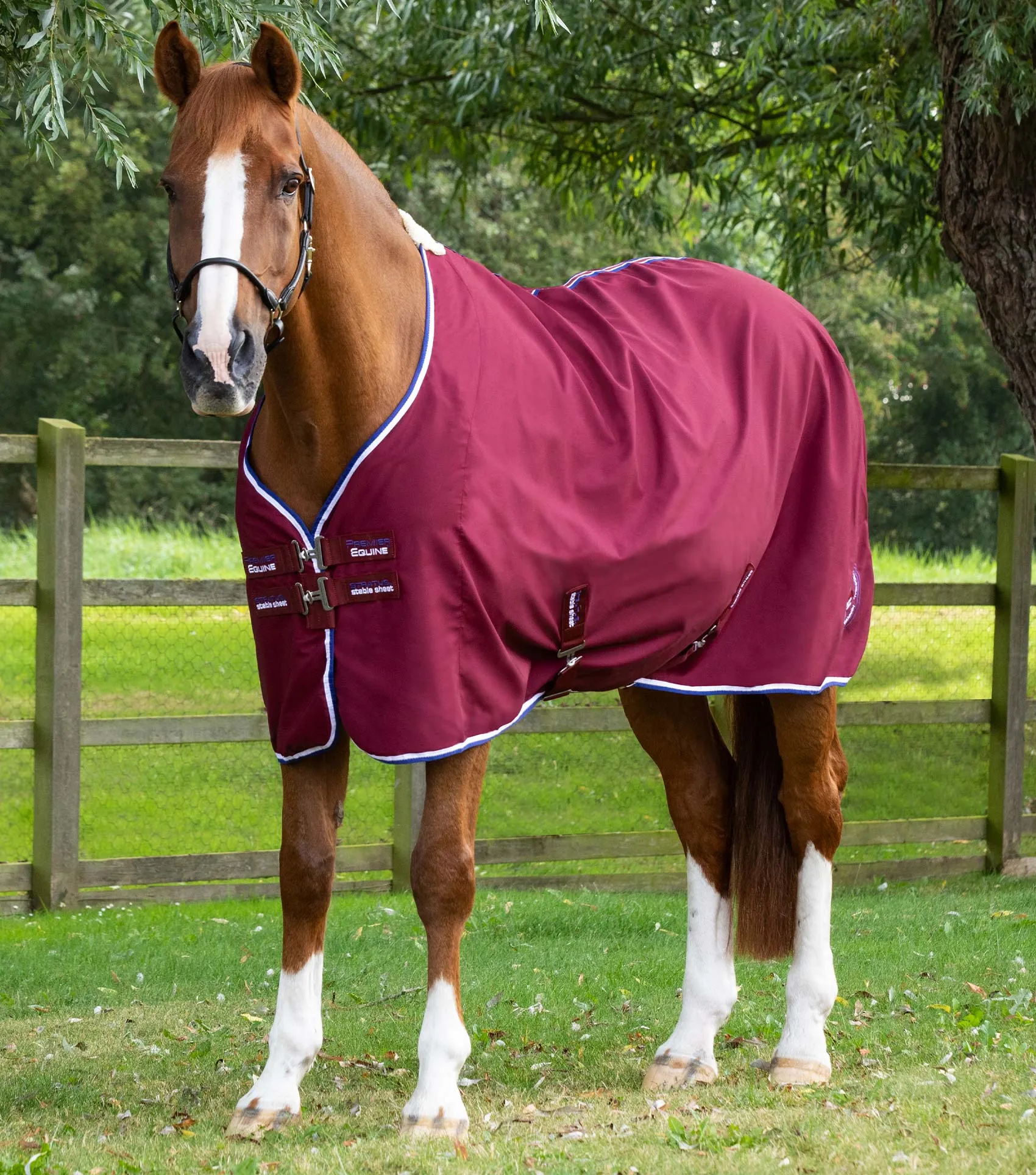 Stratus Horse Stable Sheet Burgundy