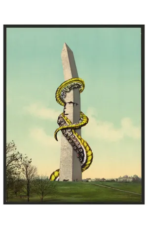 The Destruction of the Washington Monument