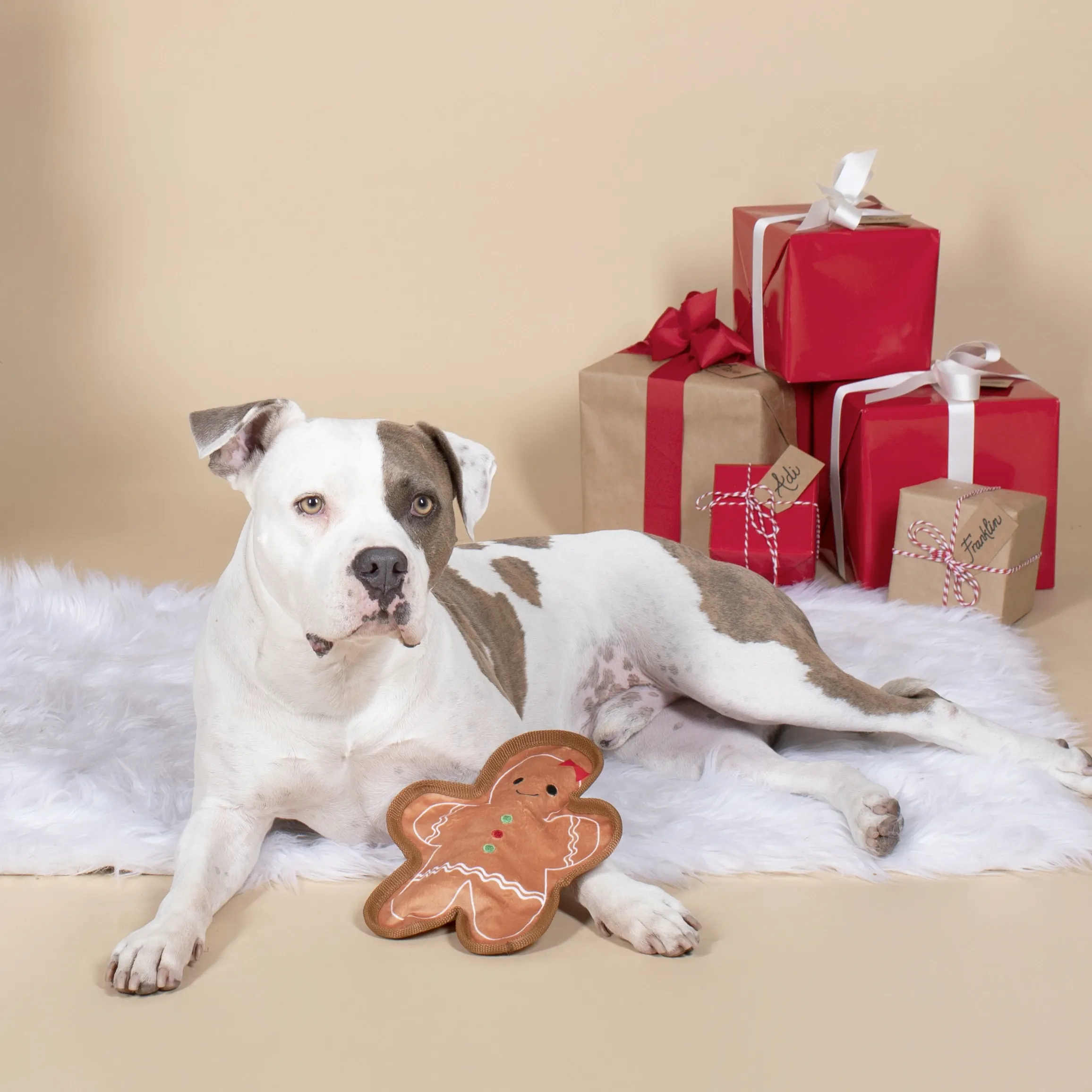 Unstuffed Gingerbread Girl Squeaky Plush Toy